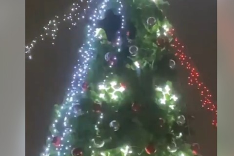 В Кривом Роге мужчина встретил Новый год на верхушке украшенной елки